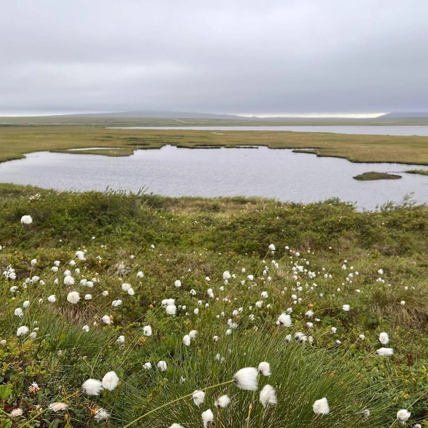 Источник: Антонина Дмитренко