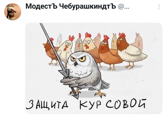 Подборка забавных твитов обо всем