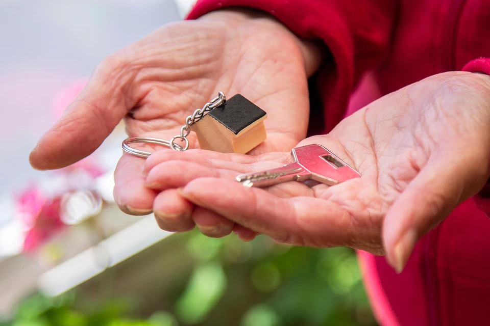 Фото: tetxu/Shutterstock/Fotodom