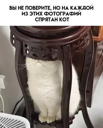 Мастера маскировки
