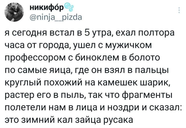 Подборка забавных твитов на все случаи жизни