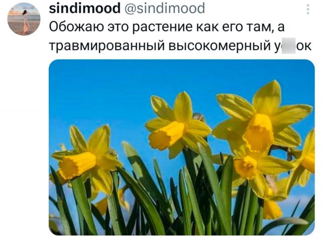 Подборка забавных твитов обо всем