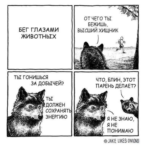 Веселые картинки 05.06