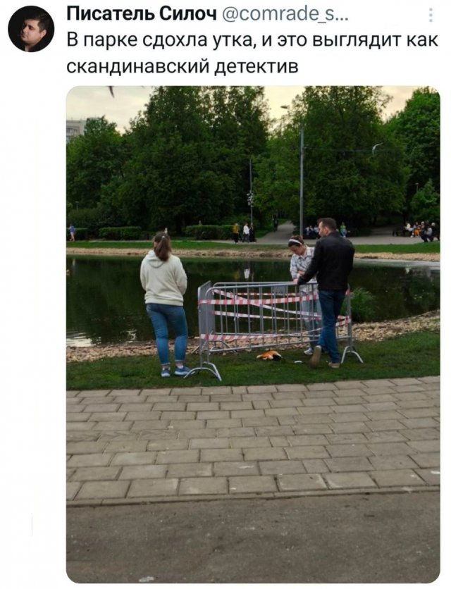 Подборка забавных твитов обо всем