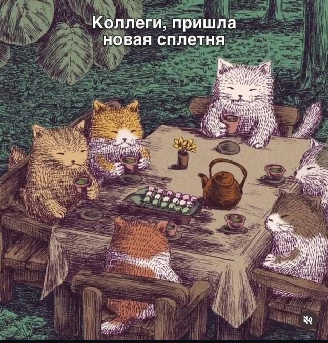 Смешные мемы - 30.06.2026