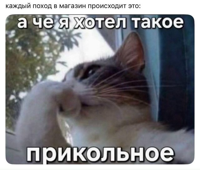 Смешные мемы - 30.06.2026