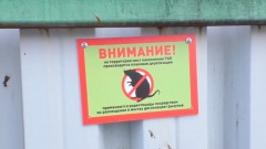 Власти Магадана раскрыли свой план борьбы с крысами