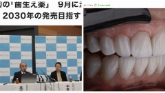 Первое в мире «лекарство для роста зубов» будет испытано в Японии с сентября 2024 года