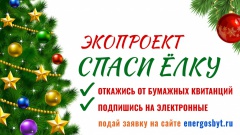 Магаданэнерго предлагает поддержать экопроект «Спаси ёлку»: отказаться от бумажных квитанций