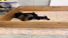 Она сама выбрала свою судьбу...