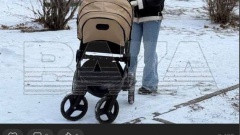 Жена депутата из Тольятти улетела рожать в Чили ради "сильного паспорта" для сына