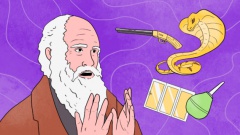 Самые странные победители премии Дарвина