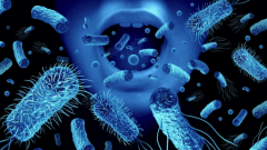 Бактерии во рту могут говорить о грядущем ожирении