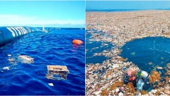 45 000 тонн пластика: инженеры пытаются разгрести мусор из океана