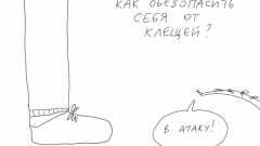Как бороться с клещём