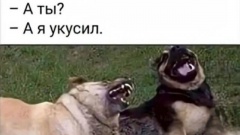 Лучшие шутки и мемы из Сети