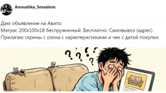 Пользователи в очередной раз доказали, что текст объявлений на Авито никто не читает