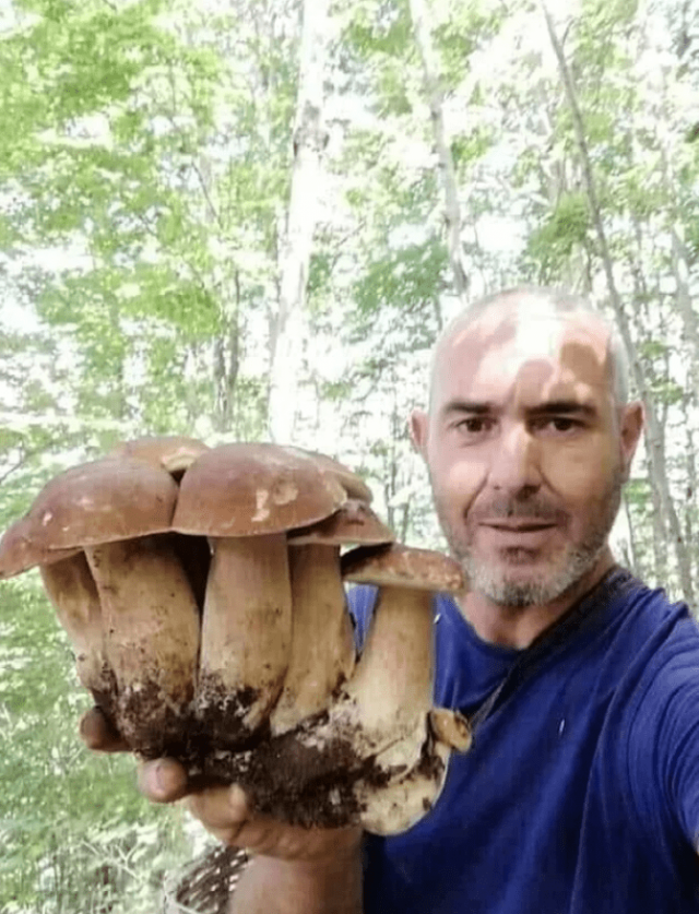 Нашёл целое семейство