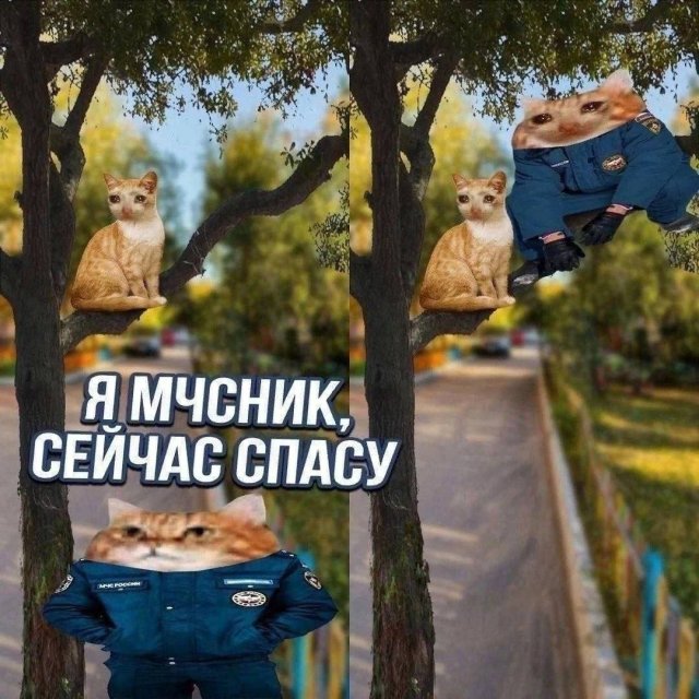 Лучшие шутки и мемы из Сети - 06.08.2026