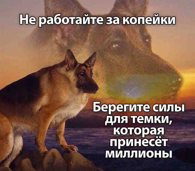 Лучшие шутки и мемы из Сети - 06.08.2026