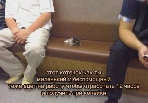 Лучшие шутки и мемы из Сети - 06.08.2026