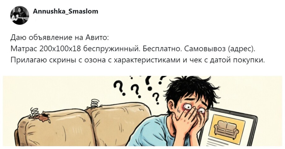 Пользователи в очередной раз доказали, что текст объявлений на Авито никто не читает