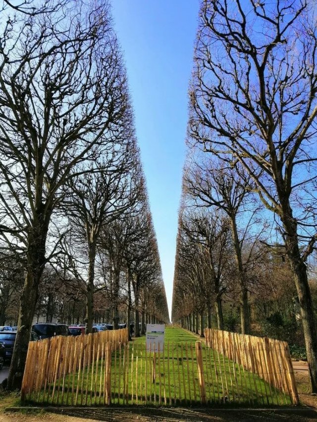 фотографии для перфекционистов