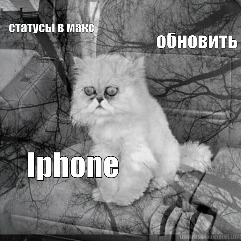 Минцифры урезает бюджеты на национальный мессенджер MAX Минцифры урезает бюджеты на национальный мессенджер MAX