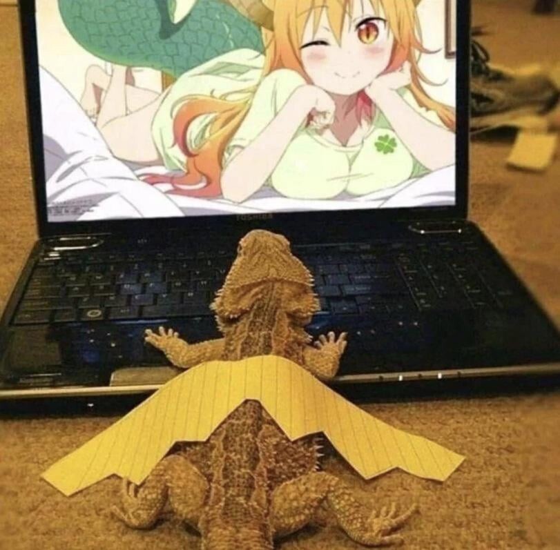 27. Драконий досуг