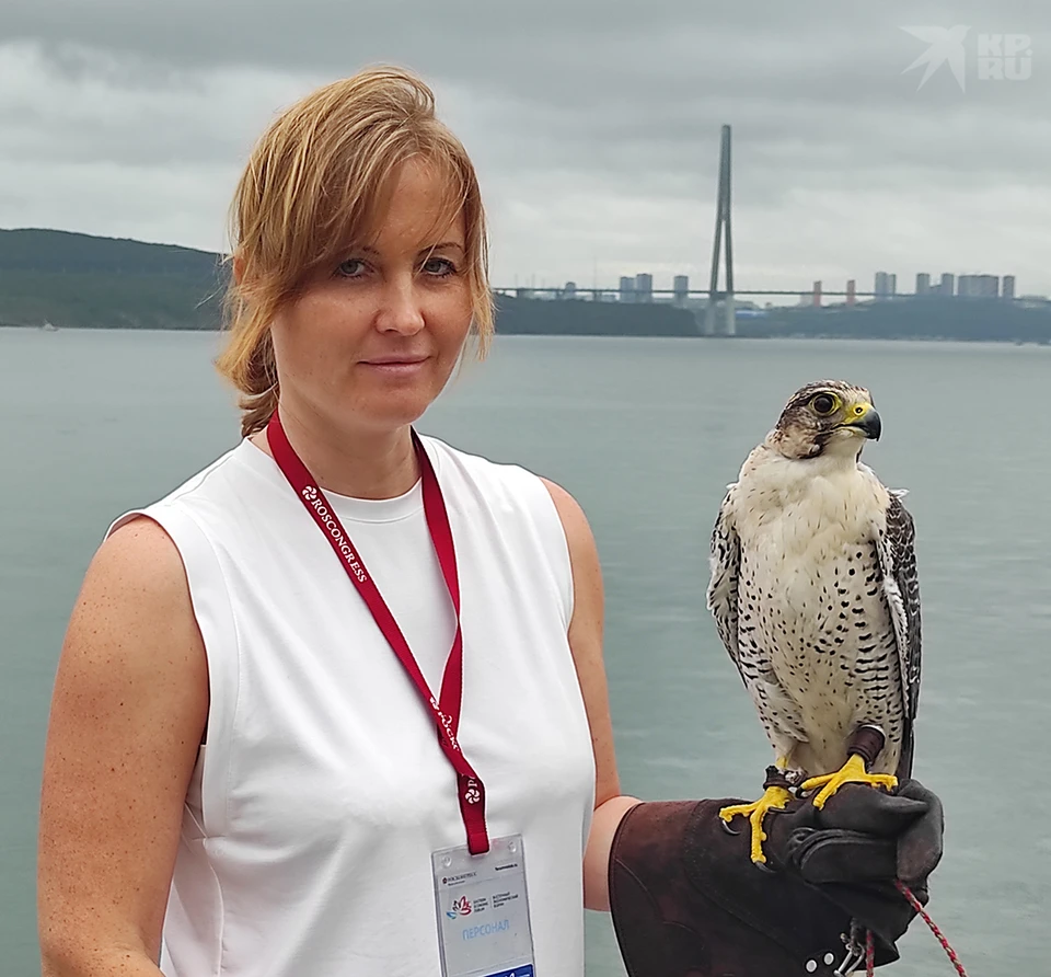Омега родилась в московском питомнике Peregrine Falcon.