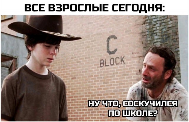 Лучшие шутки и мемы про школу