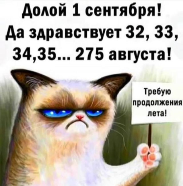 Лучшие шутки и мемы про школу