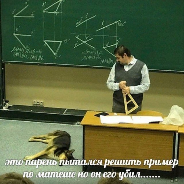Лучшие шутки и мемы про школу