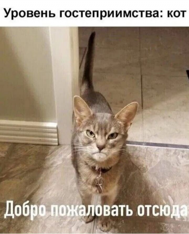 Немного юмора с просторов соцсетей