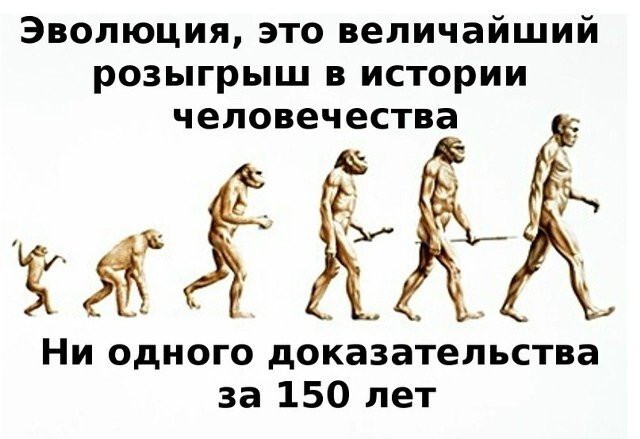 Никакой эволюции не было?! Вот где нас всех обманули