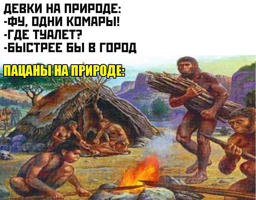 Никакой эволюции не было?! Вот где нас всех обманули