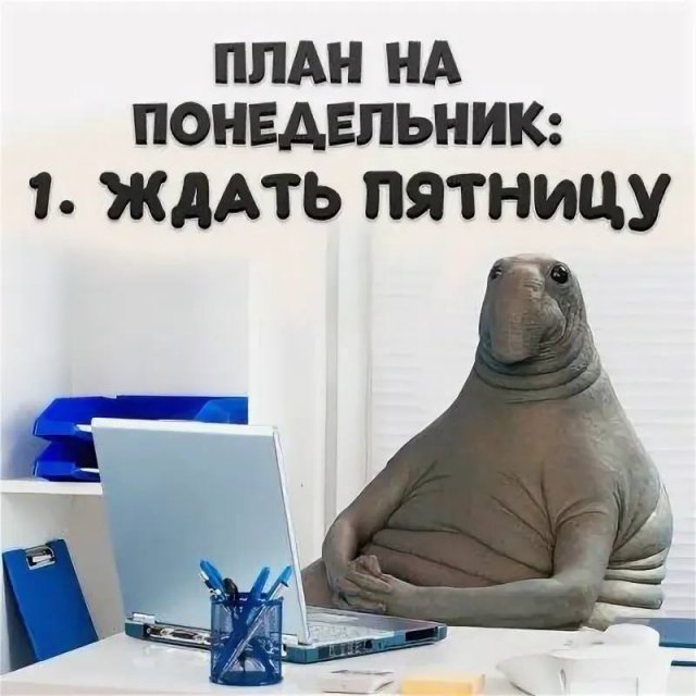 Лучшие шутки и мемы из Сети - 21.09.2026