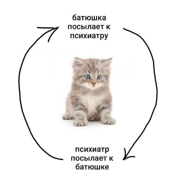 Лучшие шутки и мемы из Сети - 23.09.2026