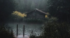 Красота, пойманная в объектив