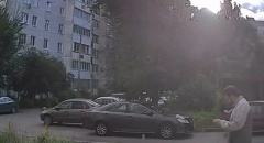 Кошечек обижать нельзя!