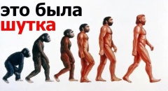 Никакой эволюции не было?! Вот где нас всех обманули